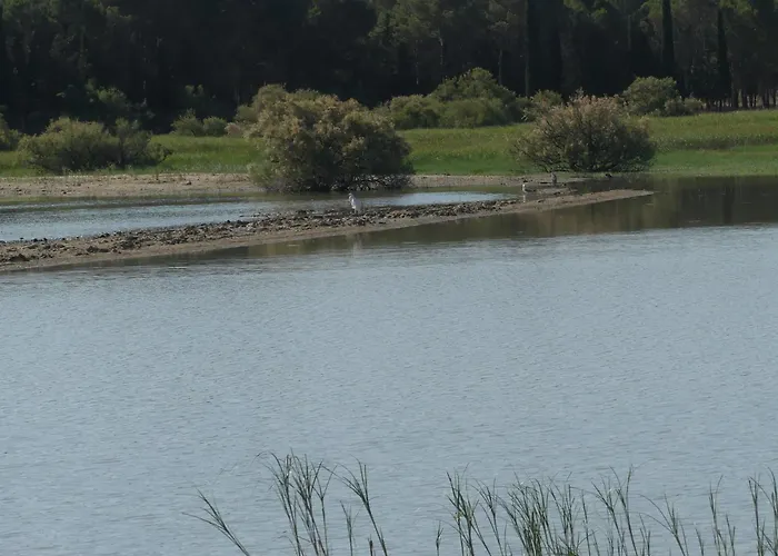 Casa vacanze Casa La Ermita Montmesa